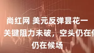 尚红网 美元反弹昙花一现？关键阻力未破，空头仍在候场