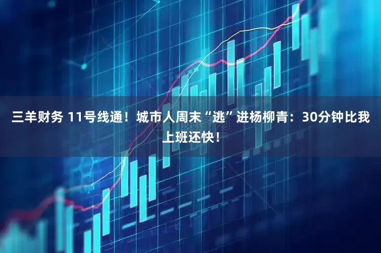 三羊财务 11号线通！城市人周末“逃”进杨柳青：30分钟比我上班还快！