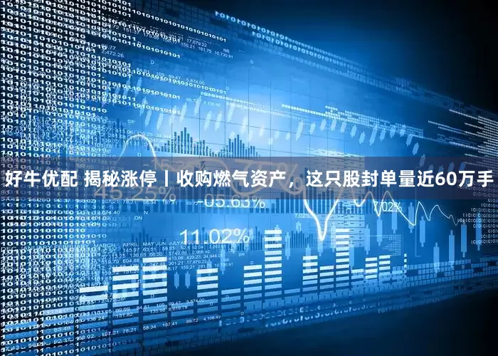 好牛优配 揭秘涨停丨收购燃气资产，这只股封单量近60万手