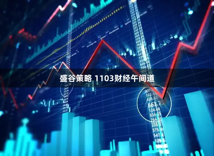 盛谷策略 1103财经午间道