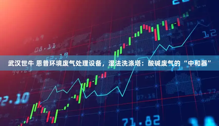 武汉世牛 恩普环境废气处理设备，湿法洗涤塔：酸碱废气的 “中和器”